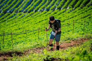 BIB: 
                            <button type="button" onclick="openModal(19161803)" class="btn btn-primary btn-sm float-right btn-popup" data-toggle="modal" data-target=".modal-high-quality">
                        <i class="fas fa-shopping-cart"></i> Add to Cart
                    </button>
                                            <button type="button" onclick="isThisMe(19161803, true)" class="btn btn-success btn-sm float-right btn-popup btn-isme hidden" data-toggle="tooltip" data-placement="bottom" title="นี่คือรูปของคุณใช่ไหม คลิกที่นี่เพื่อเอาเข้าอัลบั้ม">
                        <i class="fas fa-plus"></i> Add to album
                    </button>
                    <button type="button" onclick="isThisMe(19161803, false)" class="btn btn-warning btn-sm float-right btn-popup btn-isnotme hidden">
                        <i class="fas fa-ban"></i> Remove from album
                    </button>